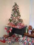 our Christmas tree