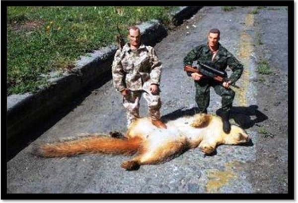 why men should not get action figures