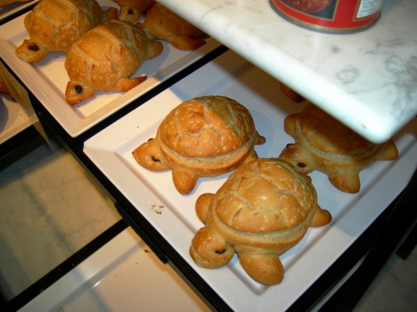 Boudin: Cute Little Sourdough Turtles
