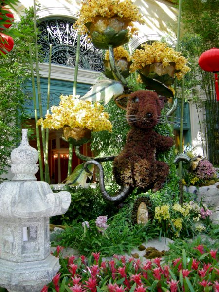 Bellagio: Chinese New Year (4)