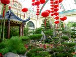 Bellagio: Chinese New Year (6)