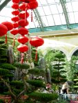 Bellagio: Chinese New Year (7)
