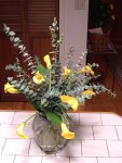 canna lily and eucalyptus