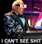 Ray Charles: I Can't See Shit!