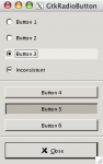 WidgetViewer-radiobuttons
