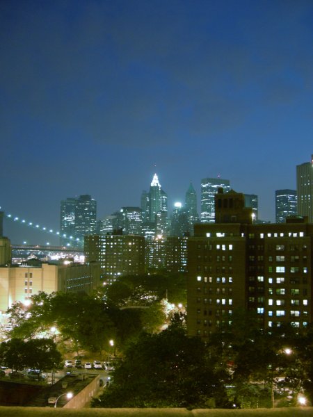 Manhattan at night (3)