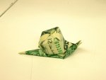 Dollar Bill Snail