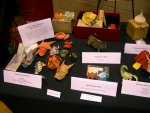 various models