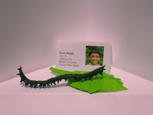 Centipede