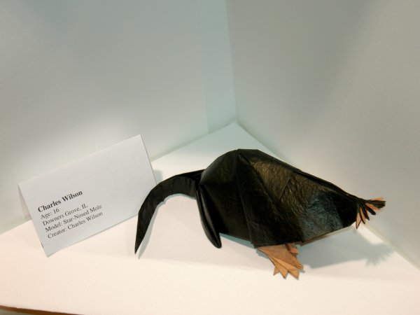 Star-Nosed Mole