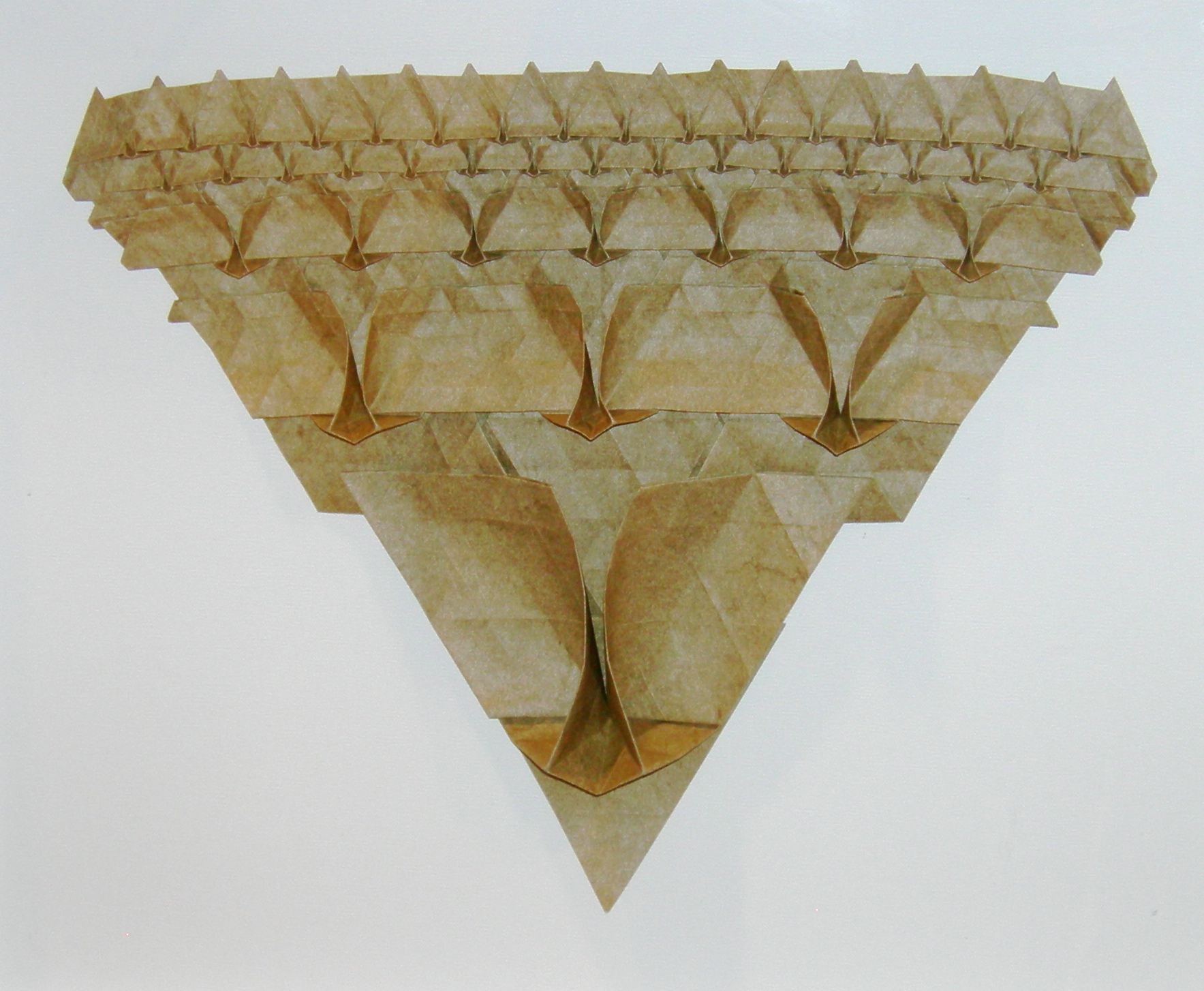 DSCN5530.JPG