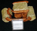 Prehistoric Car