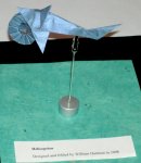 Helicoprion