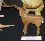 Irish Elk, opus 537