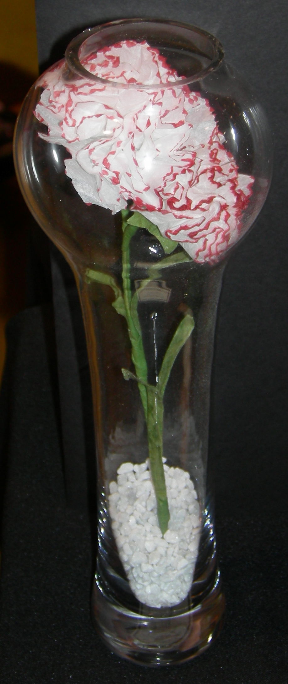 Carnation in a Bottle