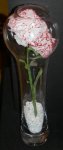 Carnation in a Bottle