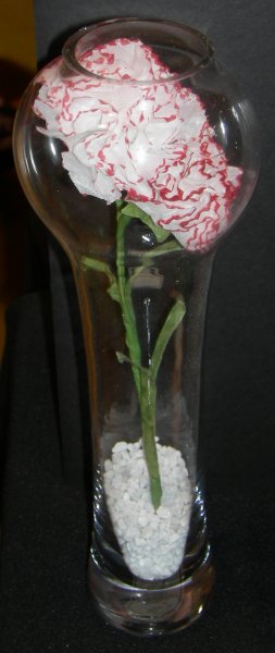 Carnation in a Bottle