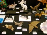 Various Animals by Quentin Trollip