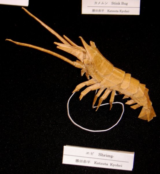 Shrimp