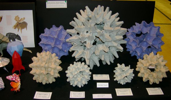 Egg Crate Designs