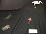 Various Insects and Animals
