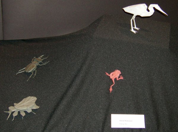 Various Insects and Animals