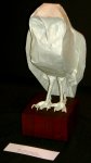 Barn Owl, opus 538