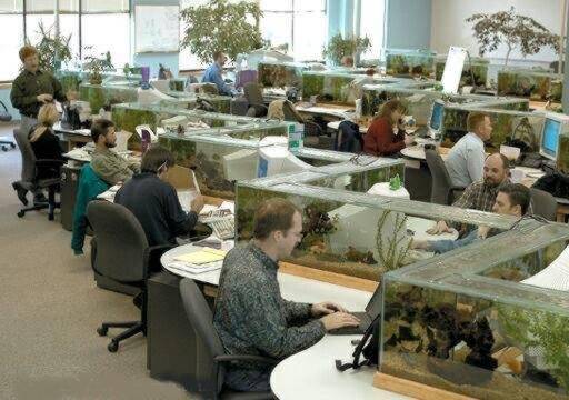 aquariums