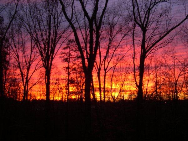 DSCN4957.JPG