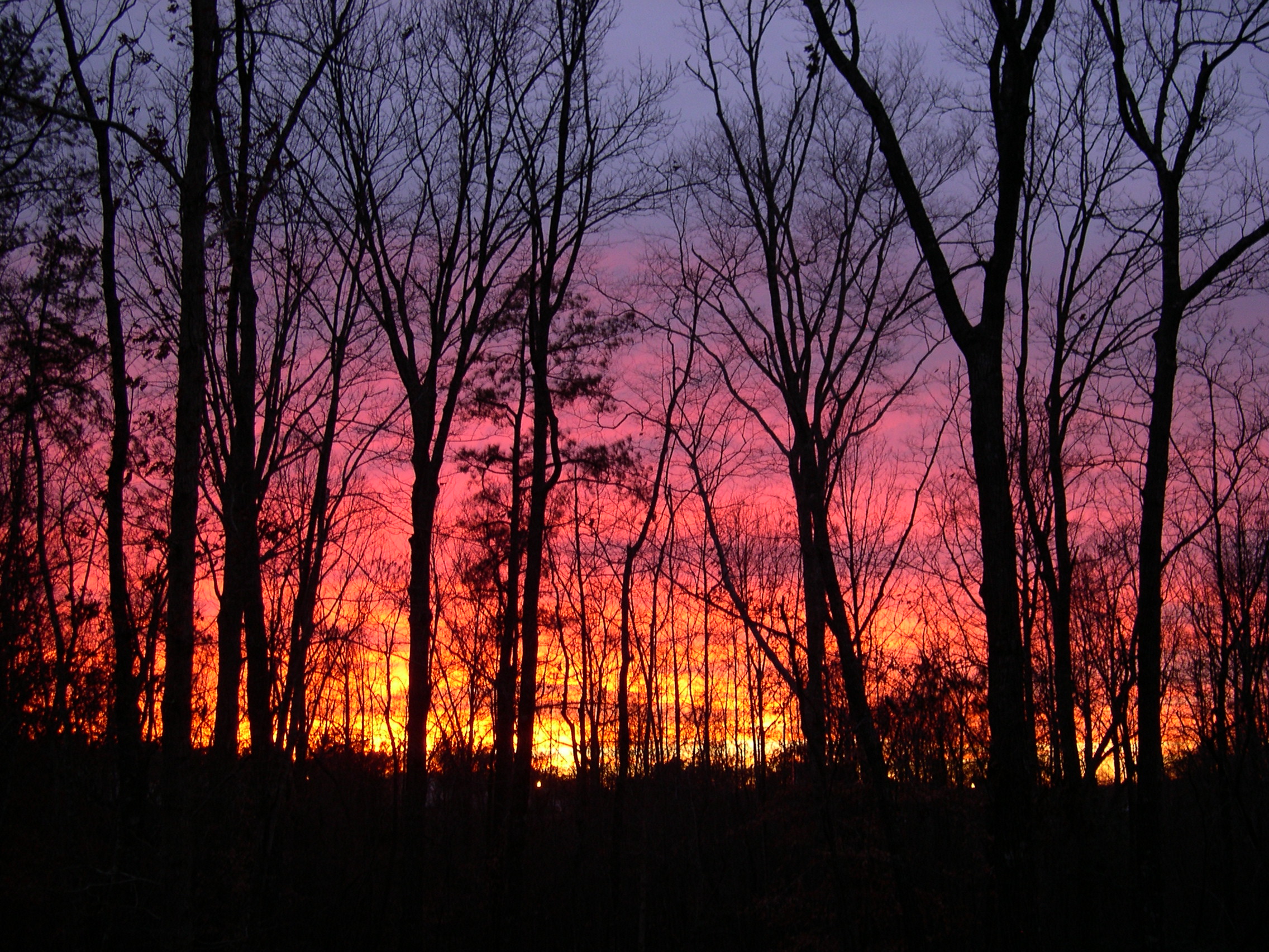 DSCN4958.JPG