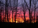 DSCN4958.JPG