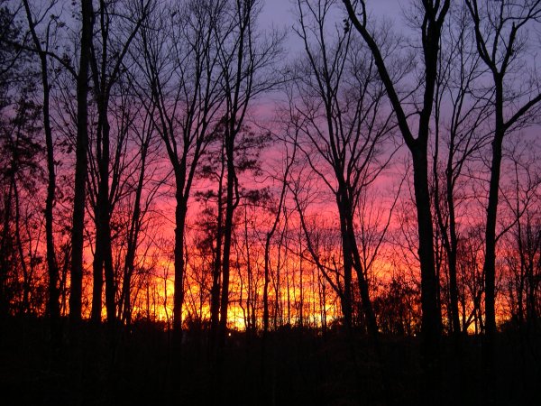 DSCN4958.JPG