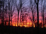 DSCN4959.JPG