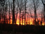 DSCN4961.JPG