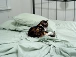 Kitties!