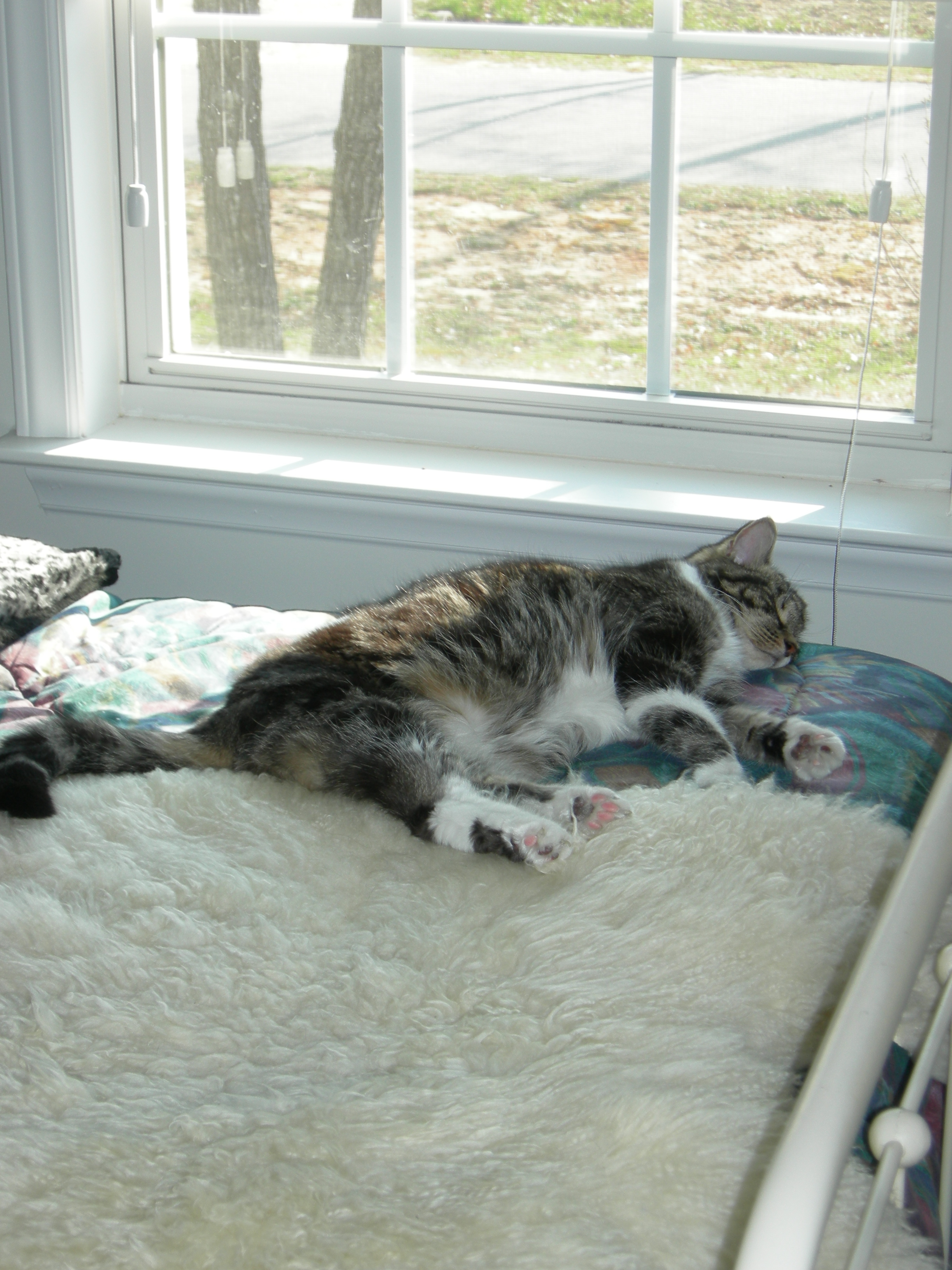 Squeak Conked Out