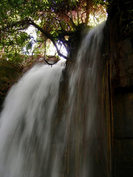 you can see the roots growing down behind the waterfall