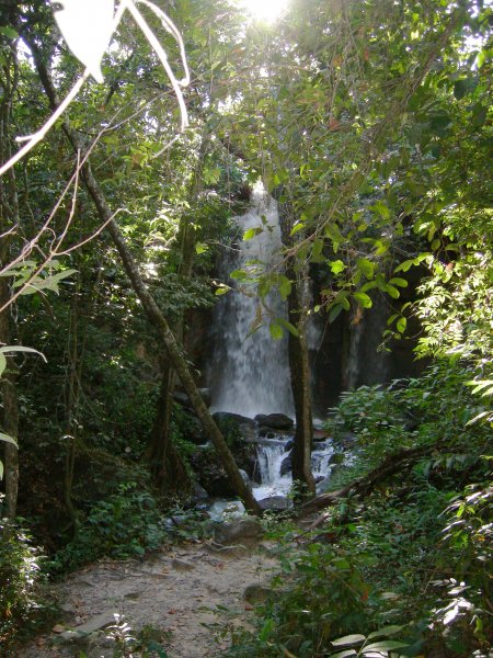 the waterfall from further down the creek