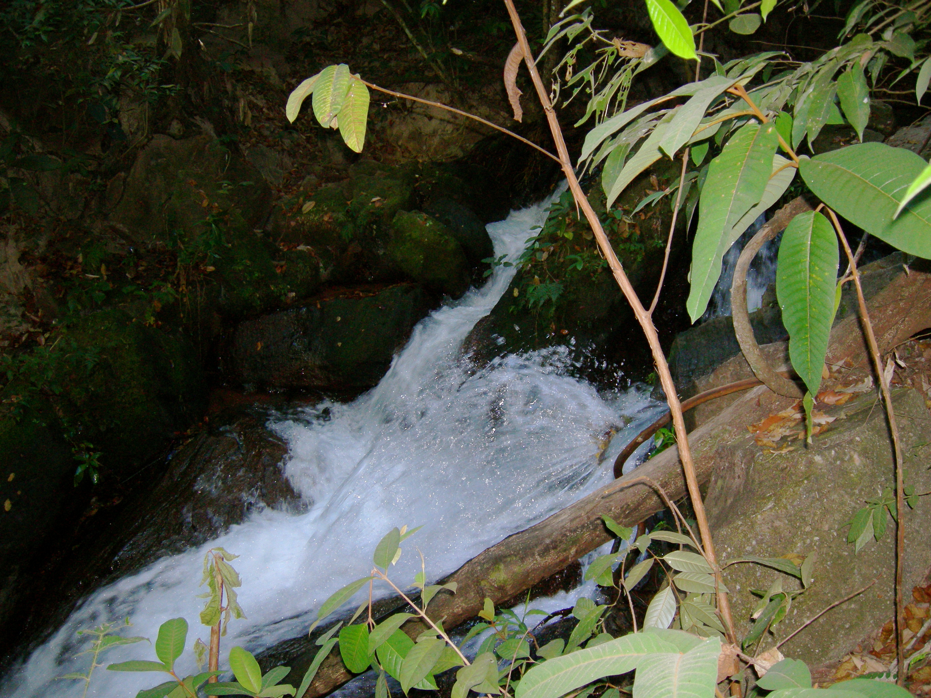 small rapids coming down from the waterfall