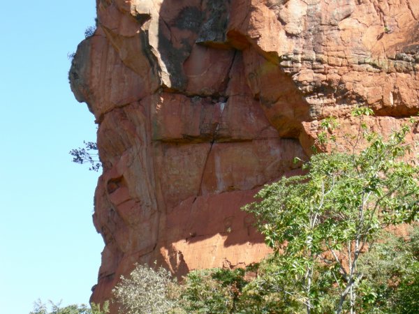 You can see where the bird roosts.