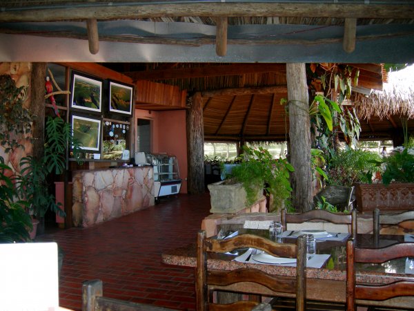 the restaurant