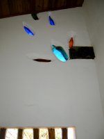 Bottles embedded in the wall at the ice cream place.