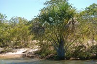 beach on the side of the river