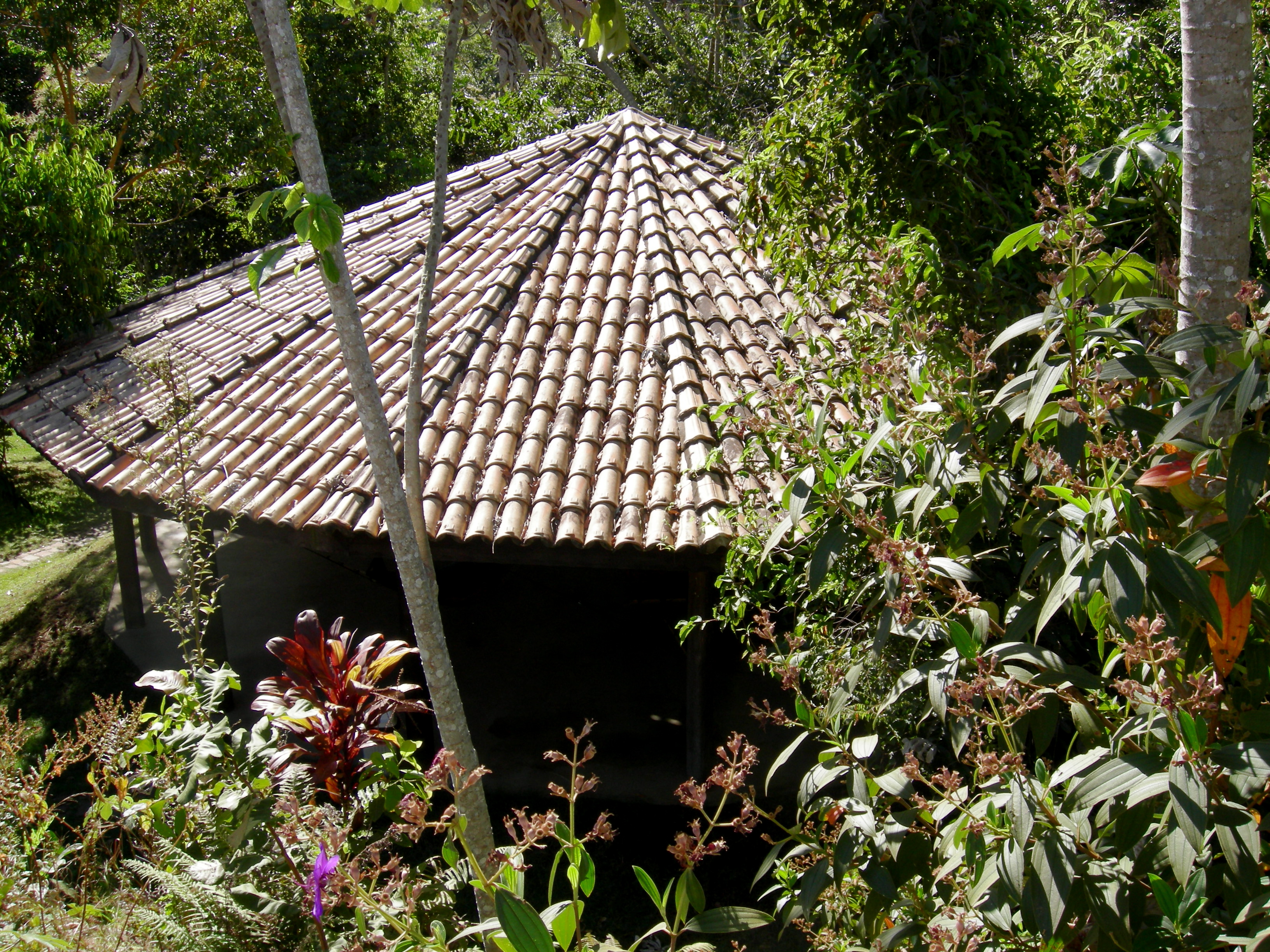 an out-of-the-way hut with hammocks