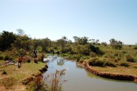 kids fishing in a small waterway