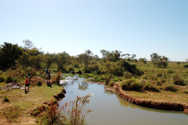 kids fishing in a small waterway