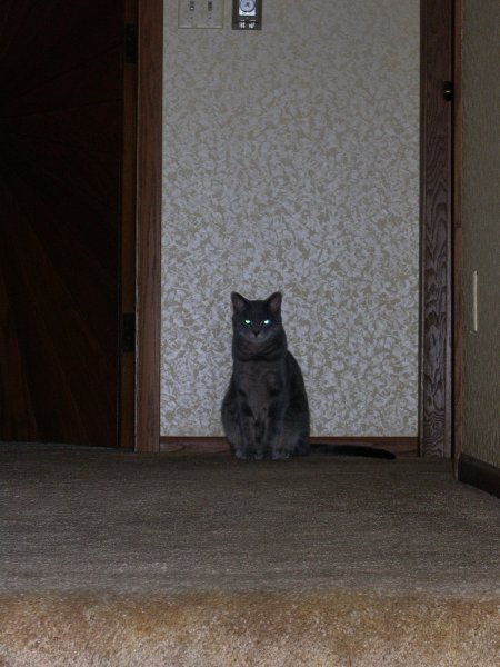 023. Darby in the Hall