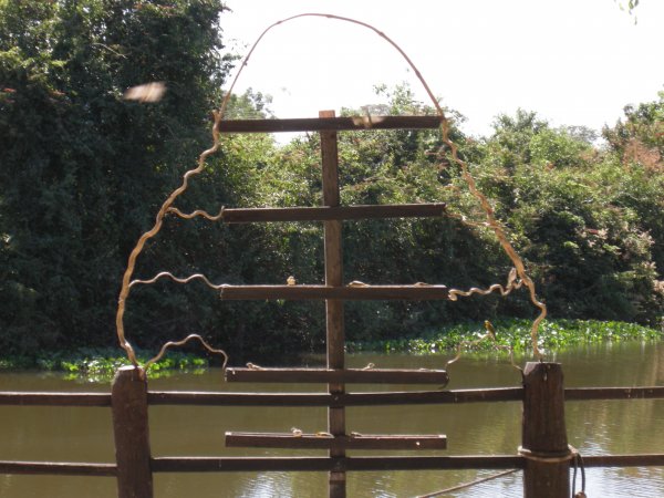 parakeet feeder at the Pantanal Mato Grosso Hotel