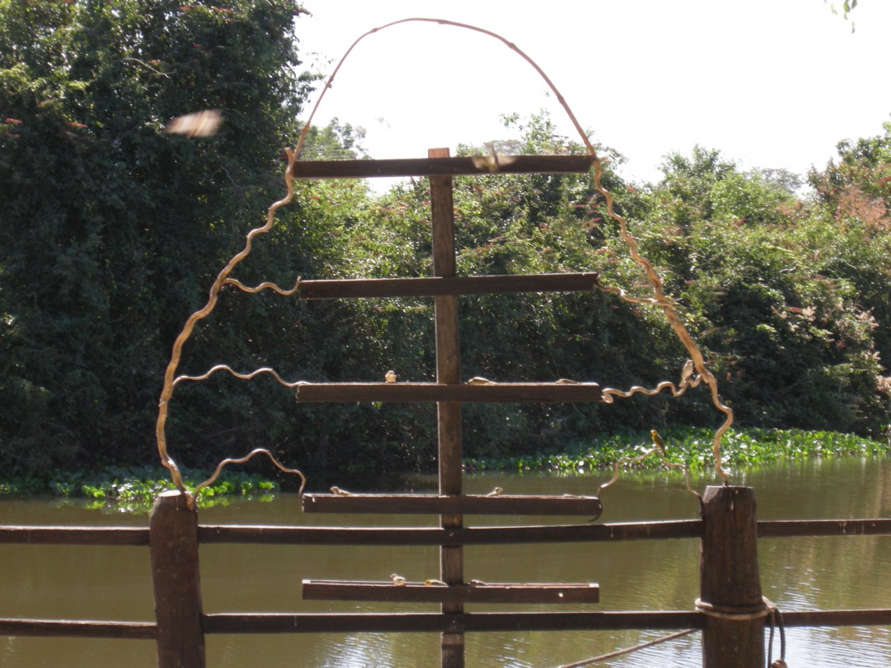 parakeet feeder at the Pantanal Mato Grosso Hotel