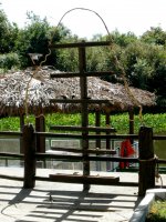 parakeet feeder at the Pantanal Mato Grosso Hotel (3)